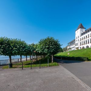 Blick auf Bäume und den Rhein