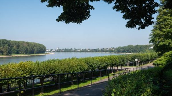 Blick auf den Rhein